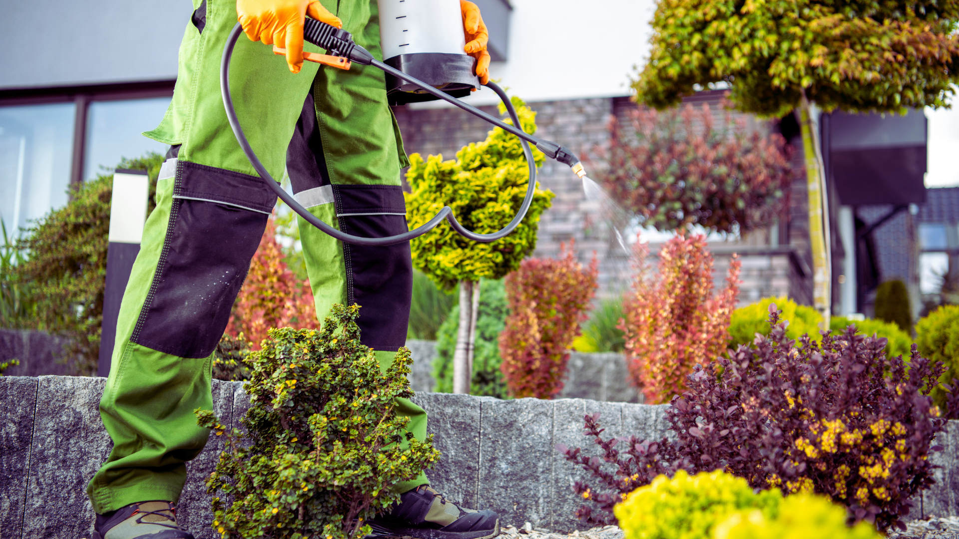 Organic Pest Control Methods: Effective Strategies for a Healthier Garden