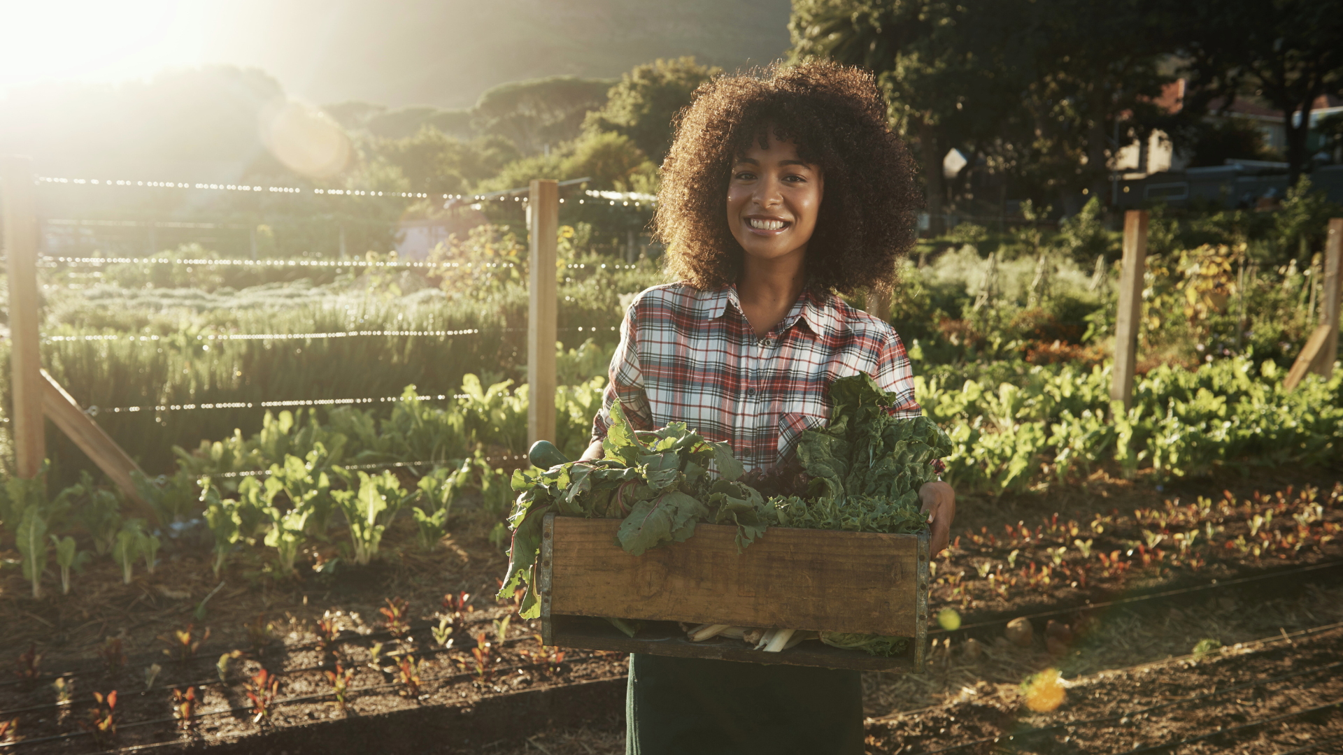 Why Reconnecting With Land Improves Wellbeing: Exploring the Health Benefits of Nature Connection